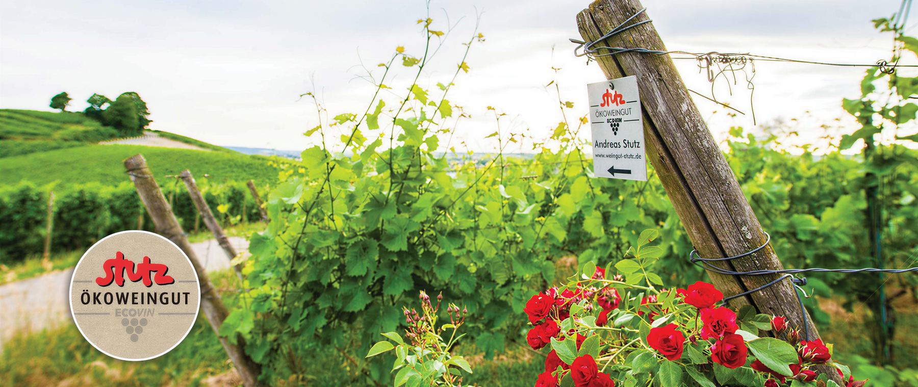 Stahlbühlwiesen · Heilbronner Weinberge